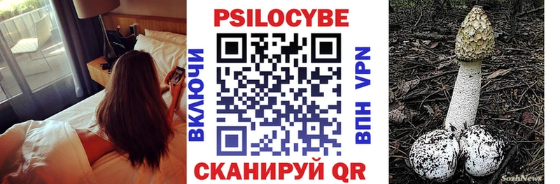 купить закладку  Гудермес  Галлюциногенные грибы Psilocybe 